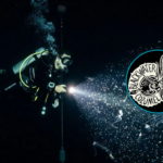 Blackwater Cozumel: un vistazo a la vida marina de las profundidades