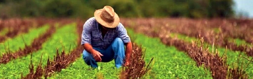 SUPREMA CORTE Y SECTOR AGRARIO FORTALECEN VINCULACIÓN INTERINSTITUCIONAL EN FAVOR DE LA JUSTICIA AGRARIA