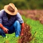 SUPREMA CORTE Y SECTOR AGRARIO FORTALECEN VINCULACIÓN INTERINSTITUCIONAL EN FAVOR DE LA JUSTICIA AGRARIA
