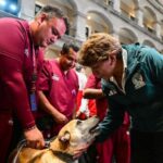 ¡EdoMéx, Capital Mundial del Bienestar Animal! Congreso local aprueba ley de protección y cuidado promovida por la Gobernadora Delfina Gómez