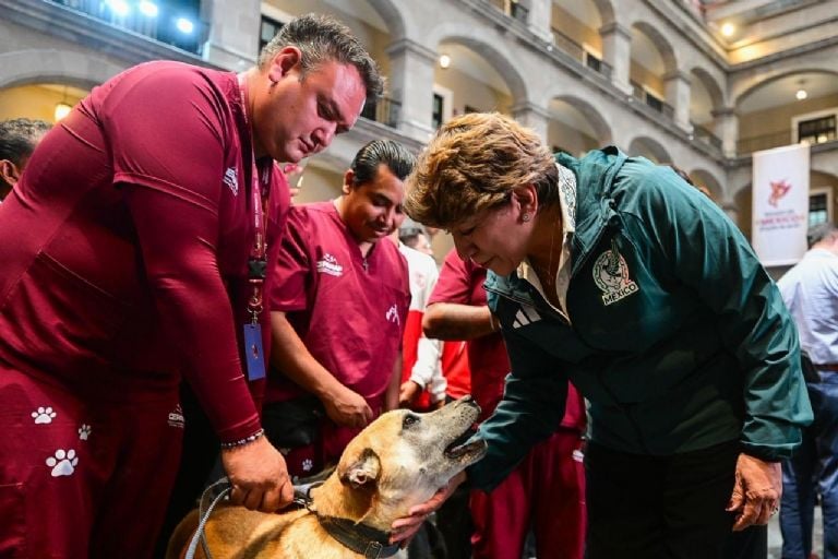 ¡EdoMéx, Capital Mundial del Bienestar Animal! Congreso local aprueba ley de protección y cuidado promovida por la Gobernadora Delfina Gómez