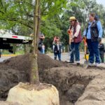 Siembran más de 3 mil árboles en jornada de reforestación en Tláhuac