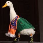 Sheinbaum recibe en Palacio Nacional a la familia Gómez y a su pato “Merlín”