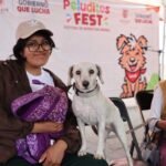 Realizan 11ª Jornada de esterilización canina y felina 2026