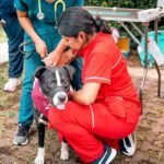 Tlalpan supera 78 mil atenciones de bienestar animal; Gaby Osorio anuncia segunda clínica veterinaria pública
