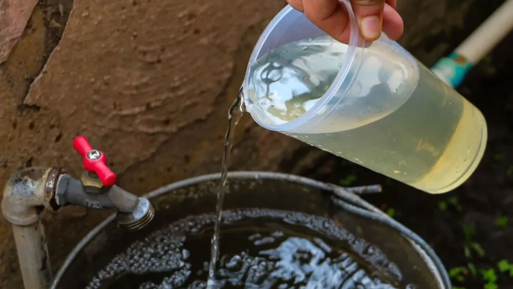 Del festejo mundialista a la protesta por el agua;