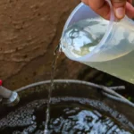 Del festejo mundialista a la protesta por el agua;